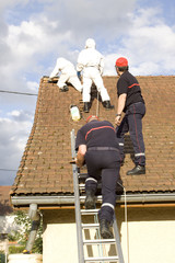 fireman and wasps' nest