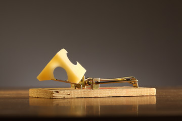 mausefalle mit k&auml;sest&uuml;ck