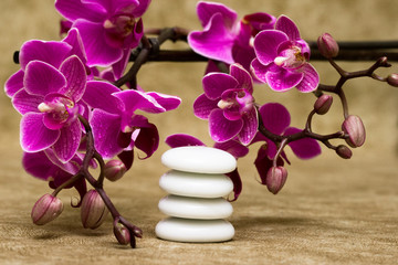 Obraz na płótnie Canvas Spa essentials (pyramid of stones with purple orchids)