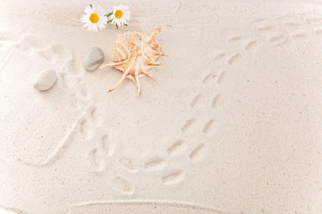 Spur im Sand