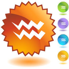 Aquarius Water Sign Badge