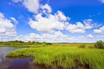 Fototapeta premium on the shores of Lake
