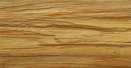 wood texture detail