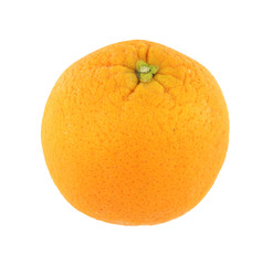 Small orange