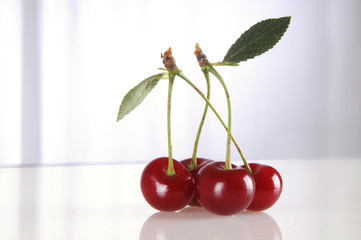 Kirschen Kirsche rot obst