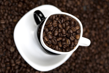 Caffeine overdose
