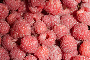 raspberry