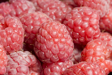 raspberry