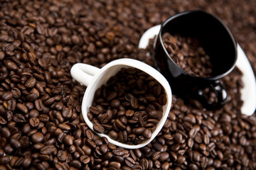 Cup