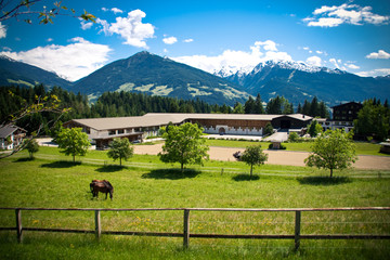 Schindlhof Pferdehof bei schönem Wetter in Gnadenwald Tirol am Berg