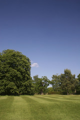 English Country Garden