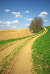 A way through the fields