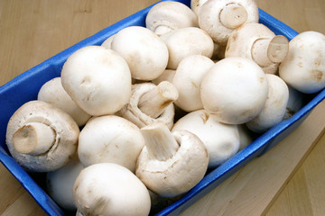 fresh mushrooms