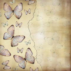 scrapbook butterflies paper