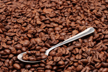 Spoon atop of Coffee Beans
