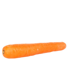 Fresh single  carrot on white background. Isolated.