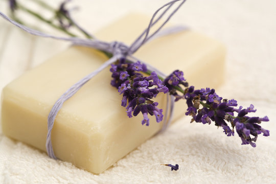 handgemachte lavendel seife