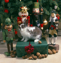 Weihnacht_113325