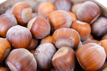Hazelnuts background.