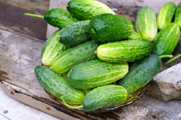 Fresh organic cucumbers
