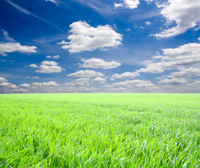 Obraz premium background