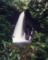 Obraz premium Costa Rica Waterfall