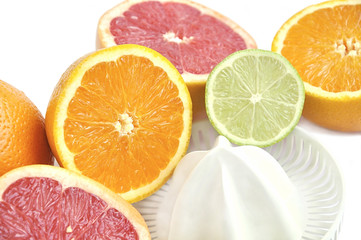 Juicer with slices of grapefruit, orange and lime on white.