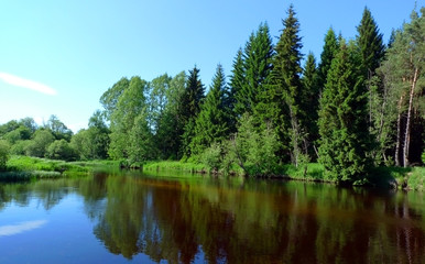 Fototapeta na wymiar river in national park