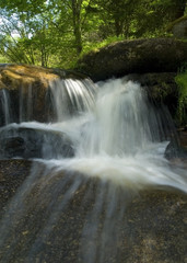 Obraz premium beautiful brook in forest