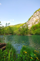 river waterfall wild