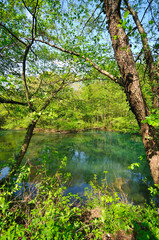 river waterfall wild
