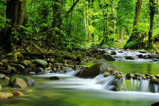 Mountain stream