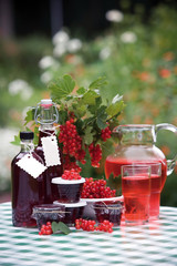 Red currant