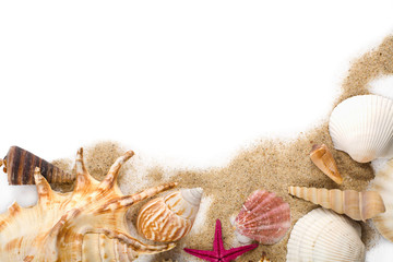 Fototapeta na wymiar sea shells in sand isolated
