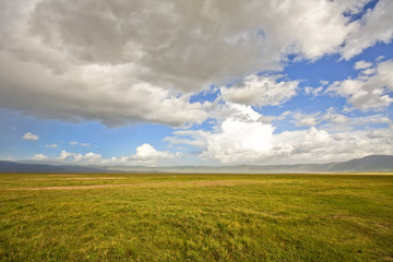 Inside Ngorongoro Crater