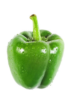 Isolierte Parika mit Wassertropfen