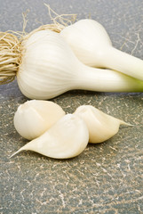 Fresh Garlic Bulbs