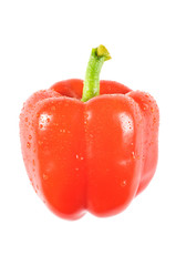 Roter Paprika mit Wassertropfen