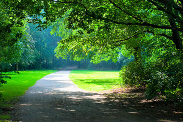 Fototapeta premium road