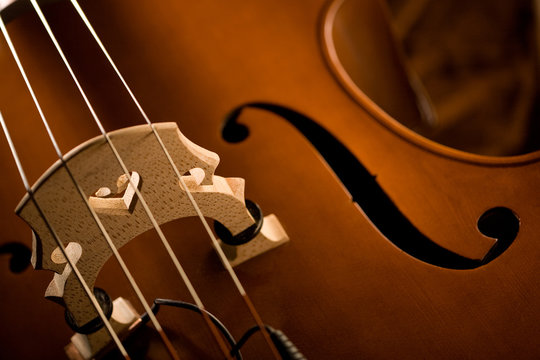 Kontrabass