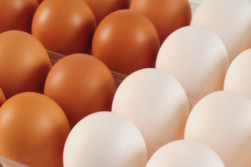 White and brown eggs
