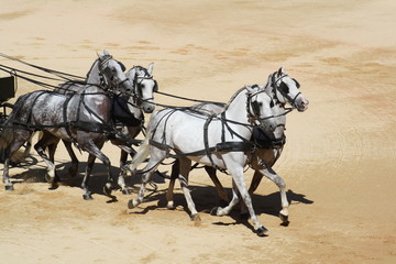 Tiro de caballos.