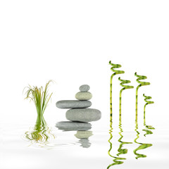 Growth, Balance and Good Fortune