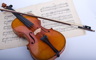 Fototapeta premium Violine