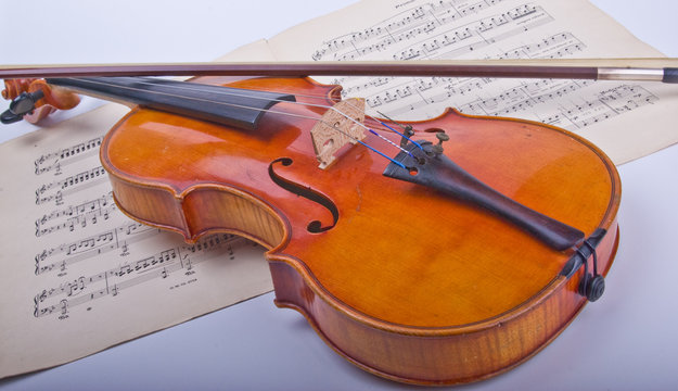 Violine