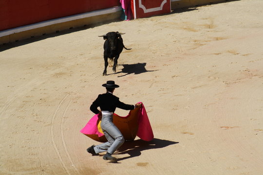 Novillada y espectaculo taurino en San Ferm&iacute;n, Pamplona.