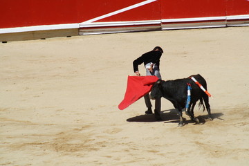 Novillada y espectaculo taurino en San Fermín, Pamplona.