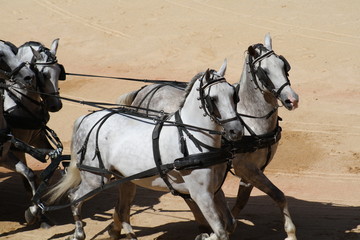 Carruaje de caballos.
