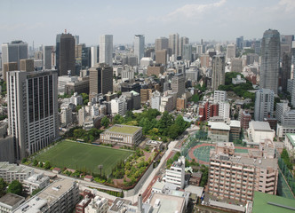 The View from Tokyo Tower