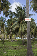 Fototapeta premium Land for sale.